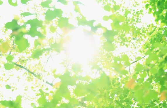 難関理数系大学・高校受験を目指す君へ。神戸市周辺で家庭教師をお探しなら、実績のある新日本教育研究所にお任せを。